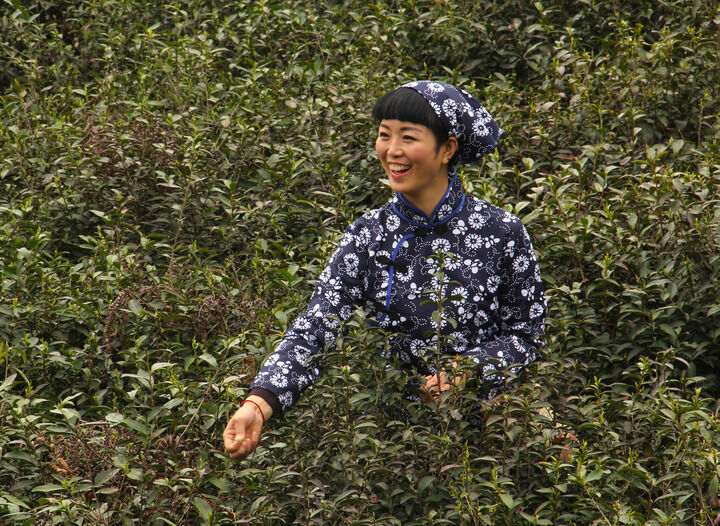 恋秀剧场